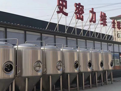 四平精酿啤酒设备厂—市场规模与跨界新需求
